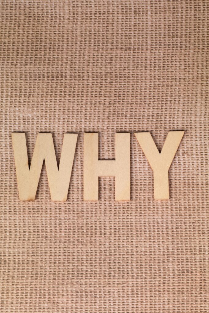 optimizing-google-my-business-for-digital-market-local-seo